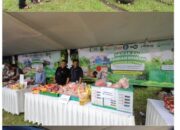 GPM : Gerakan Pangan Murah Serentak