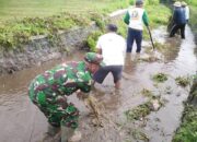 Optimalkan Saluran Irigasi Pertanian, Babinsa Kalipucung Bersama Poktan Tata Tentram Lakukan Kerja Bakti
