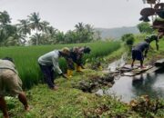 Rawat Ketersediaan Air, Babinsa Desa Serang Bersama Warga Gotong Royong Bersihkan Sumber Air Pertanian