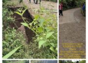 BUPATI OKU SELATAN IMBAU MASYARAKAT WASPADA MELINTAS DI LOKASI JALAN AMBLAS DI DESA TENANG, KECAMATAN KISAM TINGGI