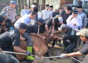Kapolda Jabar Bertindak Sebagai Al Udhhiyyah dalam Penyembelihan Hewan Kurban di Hari Raya Idul Adha 1446 H