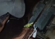 DPD BPAN_LAI Sumsel Minta APH Usut penyalahgunaan bahan bakar minyak (BBM) Secara Transparan