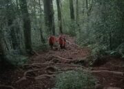 EMPAT PENDAKI TERSESAT DI GUNUNG BATUKARU