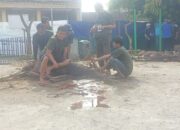 Panitia Hewan Kurban Hari Raya Idul Adha, Masjid Al Aqobah 3 Menerima 42 Hewan Kurban