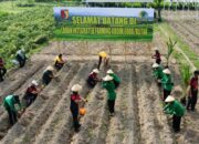 Pematangan Lahan Siap, Kodim 0808/Blitar Tanam Bibit Di Lahan Integrated Farming Desa Dandong