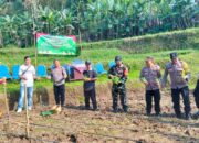 Polsek Baturiti lakukan penanaman tanaman Jagung