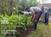 Anggota Polsek Kerambitan Melaksanakan Perawatan Jagung di Halaman Mapolsek Kerambitan