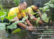 Polsek Selemadeg barat gelar Perawatan tanaman Cabai dan terong mewujudkan ketahanan pangan di tingkat lokal