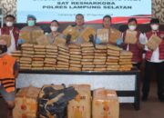Gagalkan Upaya Penyelundupan Narkotika di Pelabuhan Bakauheni, Polisi Tangkap 1 orang Pelaku dan amankan 90,36 Kg Ganja