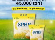 Penyaluran Beras SPHP Melalui 7 Jalur Strategis