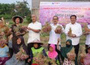 JAM-Intel Dukung Ketahanan Pangan Lewat Panen Raya Bawang Merah di Tangerang