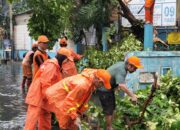Hujan Ekstrem di Tengah Musim Kemarau