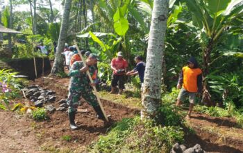 Babinsa Tegalasri Gotong Royong Bangun Tanggul Dan Drainase Bersama Warga