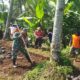 Babinsa Tegalasri Gotong Royong Bangun Tanggul Dan Drainase Bersama Warga