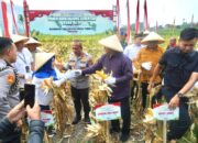 Kepedulian Polda Jabar Kepada Petani Jagung Untuk Meningkatkan Kesejahteraan
