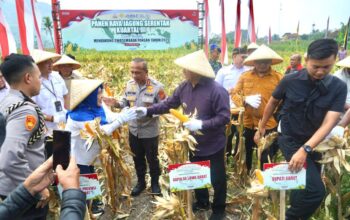 Kepedulian Polda Jabar Kepada Petani Jagung Untuk Meningkatkan Kesejahteraan*