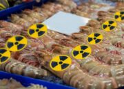 Udang Indonesia Tercemar Radioaktif, Zulhas Klaim Aman