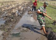 Perkuat Ketahanan Pangan, Serma Muyoto Bantu Petani Benahi Pematang Sawah