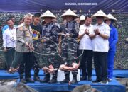 Pasmar 1 Ikuti Kegiatan Panen Raya Tegaskan Komitmen Ketahanan Pangan