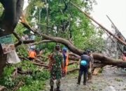 HUJAN DERAS DISERTAI ANGIN KENCANG MELANDA WILAYAH TANGSEL