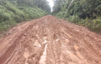 Jalan Penghubung Kecamatan Tungkal Ilir Rusak Parah, Warga Keluhkan Tak Kunjung Diperbaiki