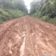 Jalan Penghubung Kecamatan Tungkal Ilir Rusak Parah, Warga Keluhkan Tak Kunjung Diperbaiki