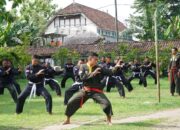 TNI Lestarikan Warisan Budaya Lewat Pencak Silat Militer