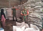 Diawal Musim Tanam, Babinsa Pastikan Stok Pupuk Bersubsidi Aman 