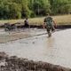 Babinsa Lakukan Pendampingan Pengolahan Lahan Sawah Untuk Persiapan Tanam