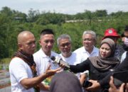Jamintel Akselerasi Program Swasembada Pangan Nasional melalui “Jaksa Mandiri Pangan” di Lebak Banten