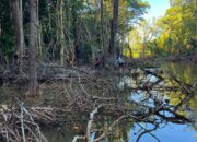 PT. TAS Diadukan ke DLHD Morowali, Diduga Lakukan Pelanggaran Lingkungan