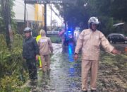 Babinsa, Bhabinkamtibmas dan BPBD Sigap Evakuasi Pohon Tumbang di Jalan Boyolali–Jatinom
