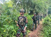 Pos Haju Satgas Yonif 123/Rajawali Intensifkan Patroli dan Komsos di Kampung Sahapikya