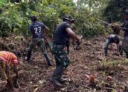 Pos Selal Satgas Yonif 751/VJS Tanam Jagung Bareng Warga Kampung Beringin: Dukung Program Ketahanan Pangan Presiden RI