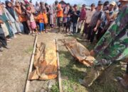 PENDAMPINGAN PENCARIAN KORBAN HILANG DI WILAYAH KORAMIL 14/TANAH JAMBO AYE KABUPATEN ACEH UTARA