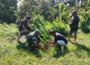 Jaga Kelestarian Lingkungan, Babinsa Gogodeso Bersama Warga Tanam Pohon Keras