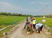 Babinsa Lakukan Pembereman Jalan Penghubung Antar Dukuh