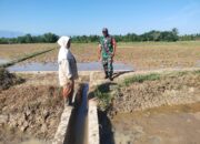 Kawal Ketahanan Pangan Pasca Banjir, Babinsa Sertu Bahtiar Cek Saluran Irigasi di Tumpok Barat