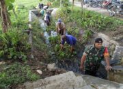 Cegah Banjir Musim Hujan, Babinsa Ngaringan Gotong Royong Bersihkan Gorong-Gorong