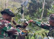 Dari Perbatasan untuk Kesejahteraan: Satgas Swasembada Yonif 751/VJS Edukasi Budidaya Kopi Warga Oksibil