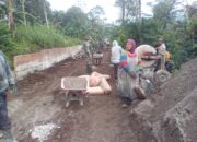 Semangat Kaum Ibu Warnai TMMD Mliwis, Gotong Royong Cor Jalan Demi Akses Lebih Baik