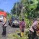 Respon Cepat Polsek Selemadeg Evakuasi Pohon Tumbang di Singin