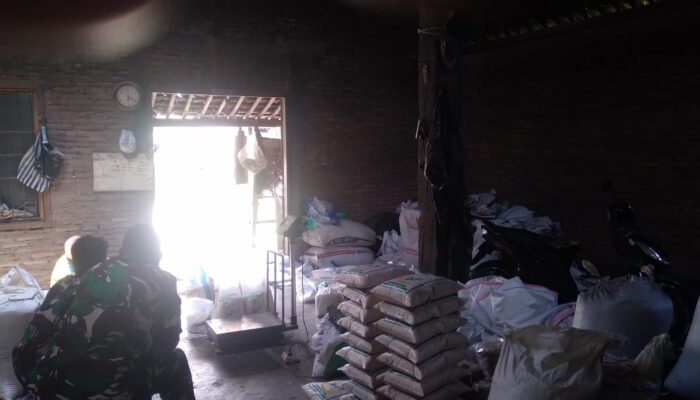 Babinsa Karanggede Turun Cek Pupuk Subsidi, Pastikan Stok Aman dan Harga Tetap Terjangkau