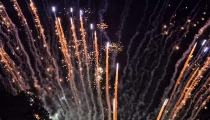 “Rame Banget! Family Day di Bukit Aslan Bikin Anak-anak Betah, Ditutup Kembang Api”