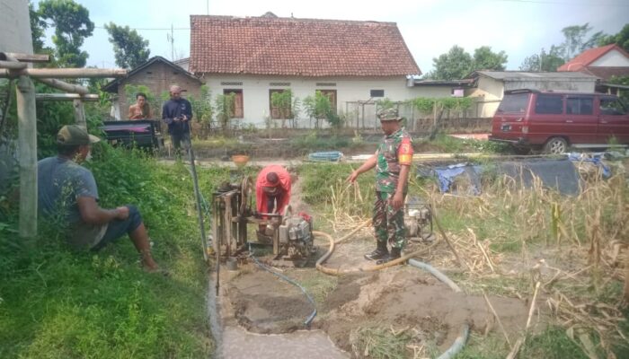 Dukung Ketahanan Pangan, Babinsa Aktif Dampingi Petani Desa Binaan