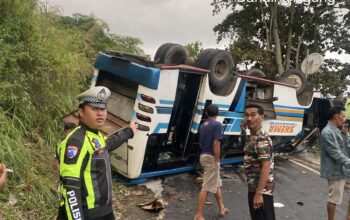 Diduga Tak Kuat Menanjak, Micro Bus Terguling di Jalan Banding Agung OKU Selatan