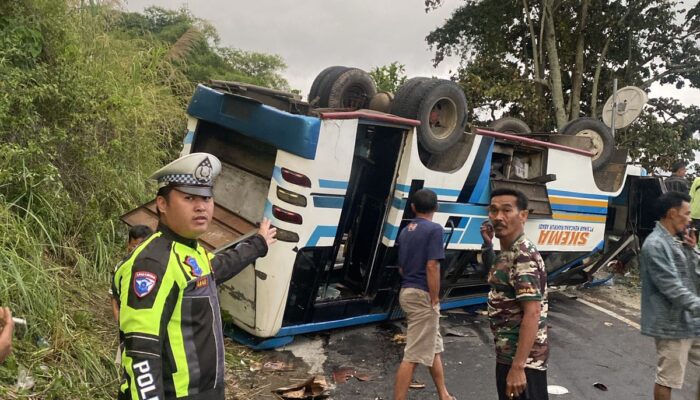 Diduga Tak Kuat Menanjak, Micro Bus Terguling di Jalan Banding Agung OKU Selatan