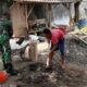 Babinsa Sumberjo Aktif Bantu Renovasi Rumah Warga Kurang Mampu Lewat Program RTLH