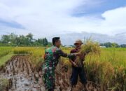 Di Balik Terik Desa Pojok di Tulungagung, Ada Babinsa yang Tak Pernah Lelah