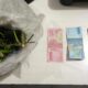 Gagalkan Peredaran 800 Gram Ganja, Polres Lahat Buktikan Ketegasan Penegakan Hukum